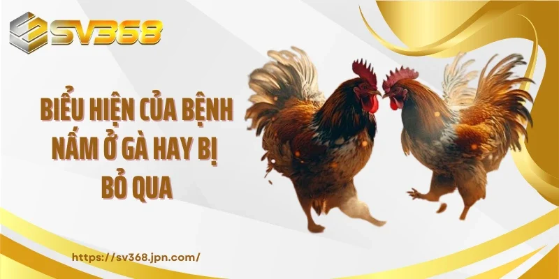 Biểu hiện của bệnh nấm ở gà hay bị bỏ qua