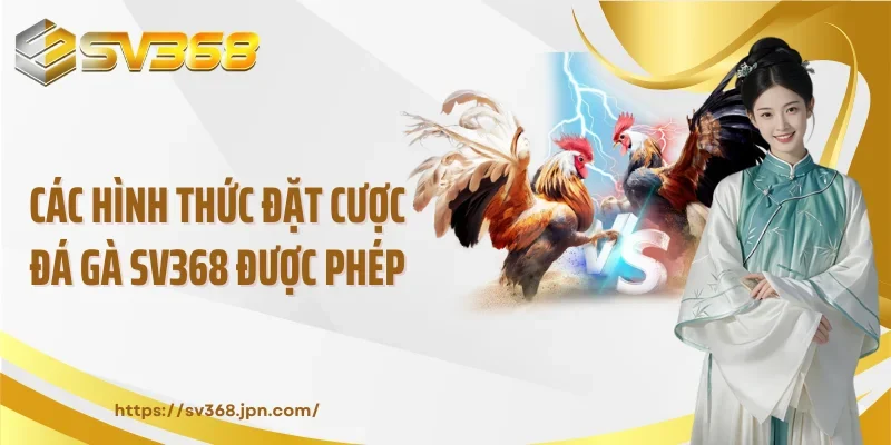 Các hình thức đặt cược đá gà SV368 được phép