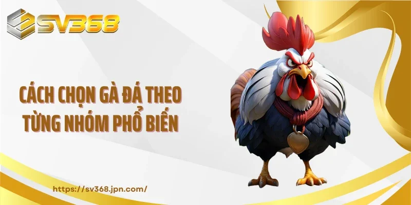 Cách chọn gà đá theo từng nhóm phổ biến