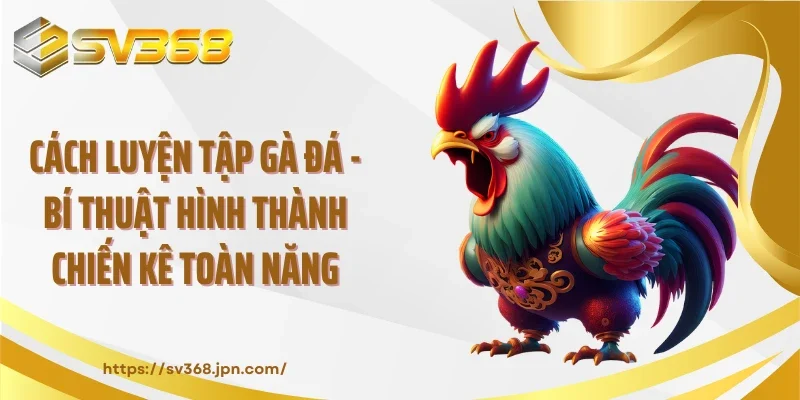 Cách Luyện Tập Gà Đá - Bí Thuật Hình Thành Chiến Kê Toàn Năng