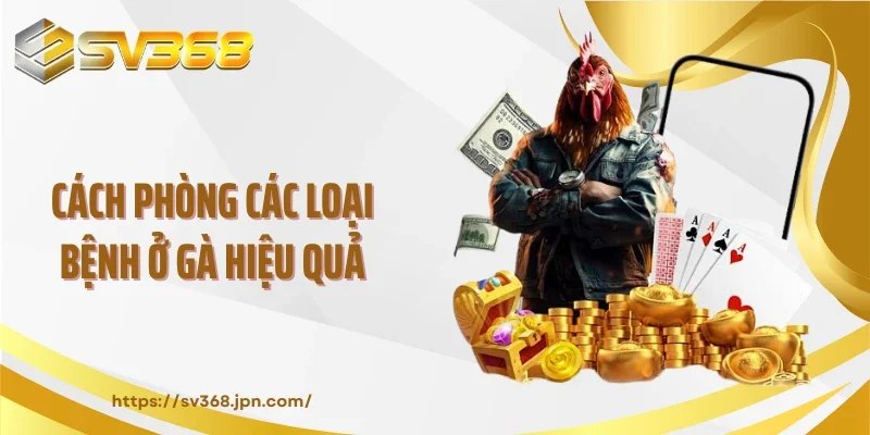 Cách phòng các loại bệnh ở gà hiệu quả