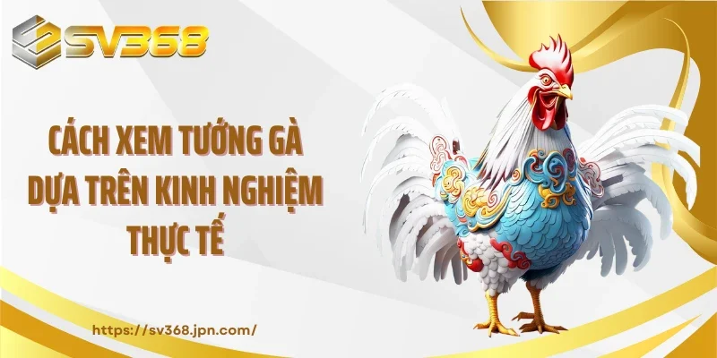 Cách xem tướng gà dựa trên kinh nghiệm thực tế