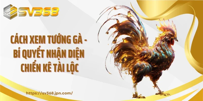 Cách Xem Tướng Gà - Bí Quyết Nhận Diện Chiến Kê Tài Lộc