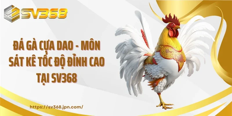 Đá Gà Cựa Dao - Môn Sát Kê Tốc Độ Đỉnh Cao Tại SV368