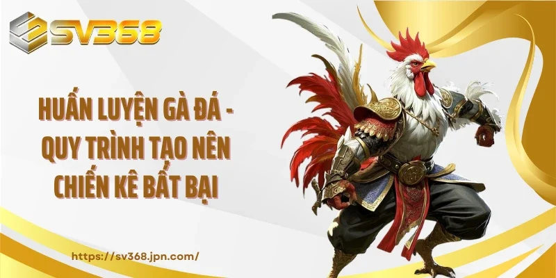 Huấn Luyện Gà Đá - Quy Trình Tạo Nên Chiến Kê Bất Bại