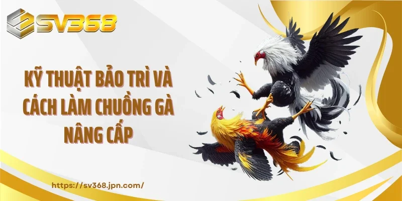 Kỹ thuật bảo trì và cách làm chuồng gà nâng cấp