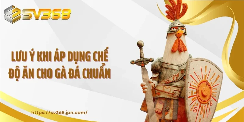 Lưu ý khi áp dụng chế độ ăn cho gà đá chuẩn