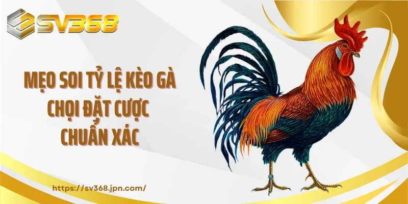 Mẹo soi tỷ lệ kèo gà chọi đặt cược chuẩn xác