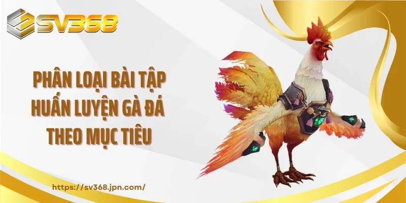 Phân loại bài tập huấn luyện gà đá theo mục tiêu