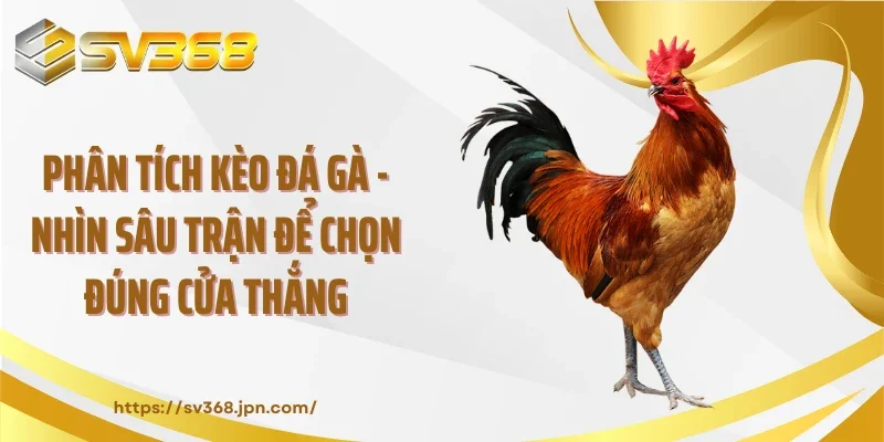 Phân Tích Kèo Đá Gà - Nhìn Sâu Trận Để Chọn Đúng Cửa Thắng