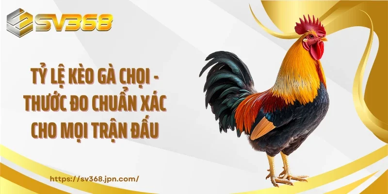 Tỷ Lệ Kèo Gà Chọi - Thước Đo Chuẩn Xác Cho Mọi Trận Đấu