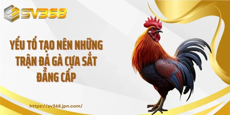 Yếu tố tạo nên những trận đá gà cựa sắt đẳng cấp